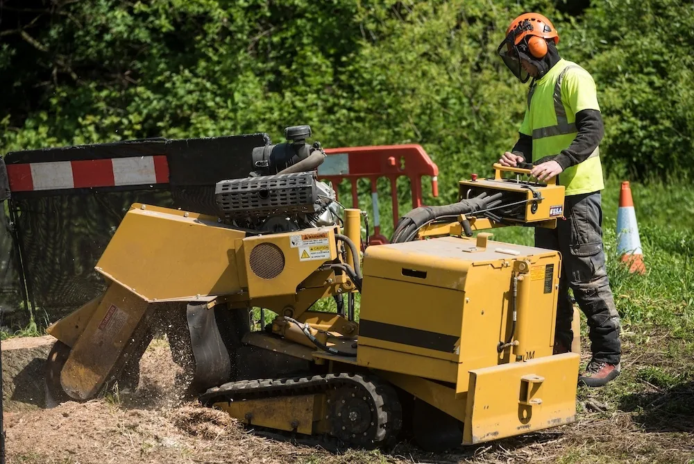 Stump Removal